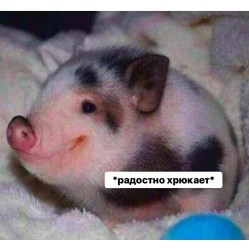 💕Стики тут: @sekstick - 