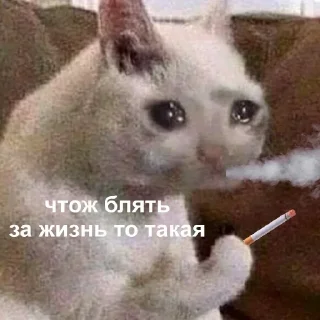 Стикер 💕Стики тут: @sekstick - 3