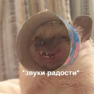 Стикер 💕Стики тут: @sekstick - 10