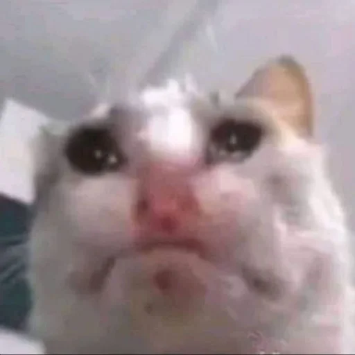 Стикер kkhhmm - 1