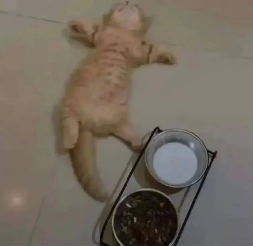 Sticker kkittenss3_by_fStikBot - 1