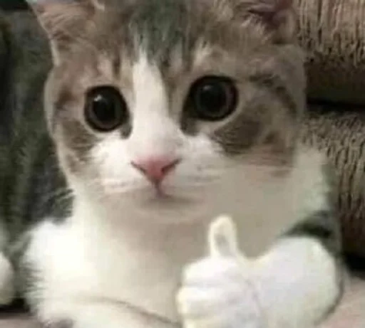 Sticker kkittenss3_by_fStikBot - 1