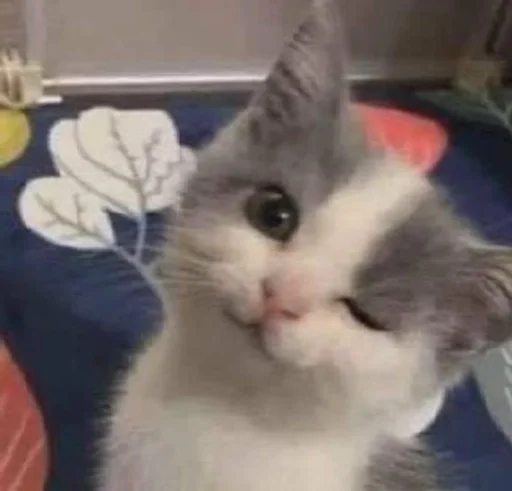 Sticker котики<3 :: @fStikBot - 1