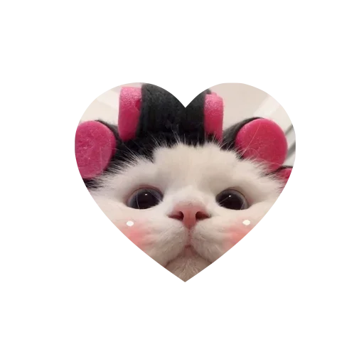 Sticker kkittyylovew_by_TgEmojis_bot - 1