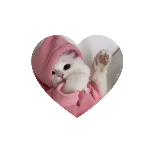 Sticker kkittyylovew_by_TgEmojis_bot - 1