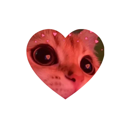 kitties love @tgstikks @iamideas @TgEmojis_bot - 