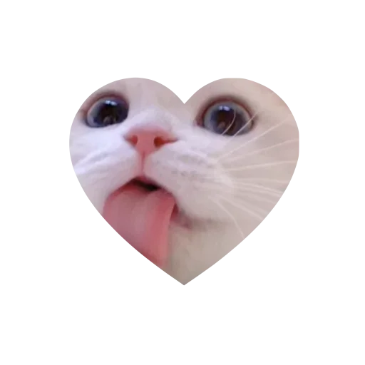 Sticker kkittyylovew_by_TgEmojis_bot - 1