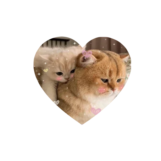 Sticker kkittyylovew_by_TgEmojis_bot - 1