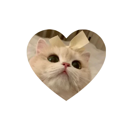 Sticker kkittyylovew_by_TgEmojis_bot - 1