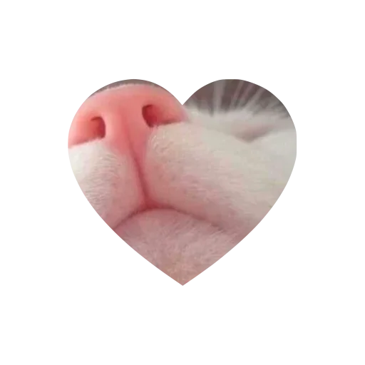 Sticker kkittyylovew_by_TgEmojis_bot - 1