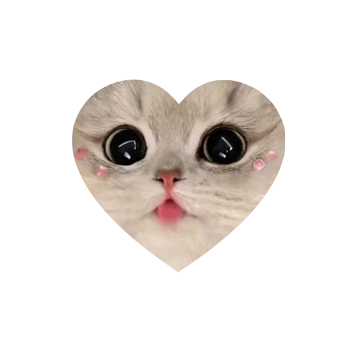 Sticker kkittyylovew_by_TgEmojis_bot - 1