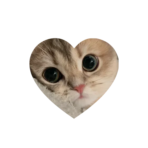 Sticker kkittyylovew_by_TgEmojis_bot - 1