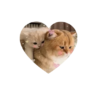 Sticker kitties love @tgstikks @iamideas @TgEmojis_bot - 5