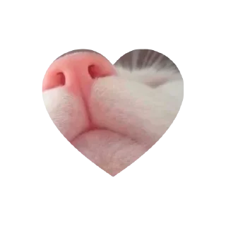 Sticker kitties love @tgstikks @iamideas @TgEmojis_bot - 2