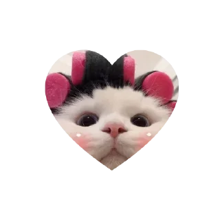 Sticker kitties love @tgstikks @iamideas @TgEmojis_bot - 10