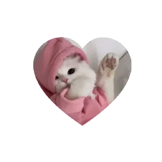 Sticker kitties love @tgstikks @iamideas @TgEmojis_bot - 9