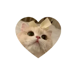 Sticker kitties love @tgstikks @iamideas @TgEmojis_bot - 3