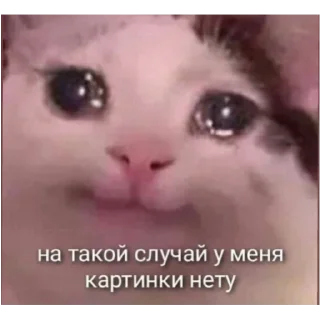 Sticker kkkiriki - 8