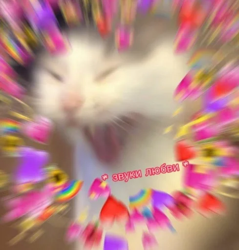 розовый пурпурный млекопитающее