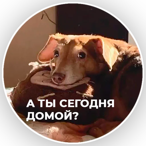 Стикер ккт - 4