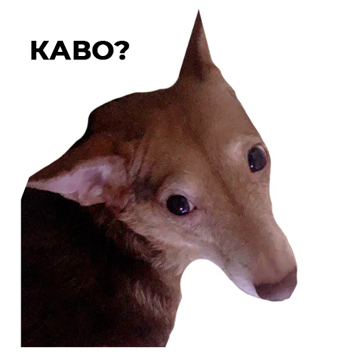 Стикер ккт - 2