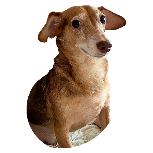 Стикер ккт - 1