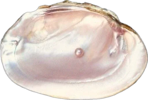 Sticker klaviergospodi - 1