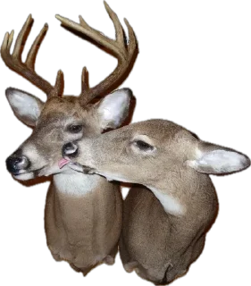 Sticker рояль господи : @klaviergospodi - 1