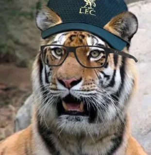 Стикер Колбаса - 4