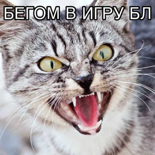 Стикер отkolovratченный - 11