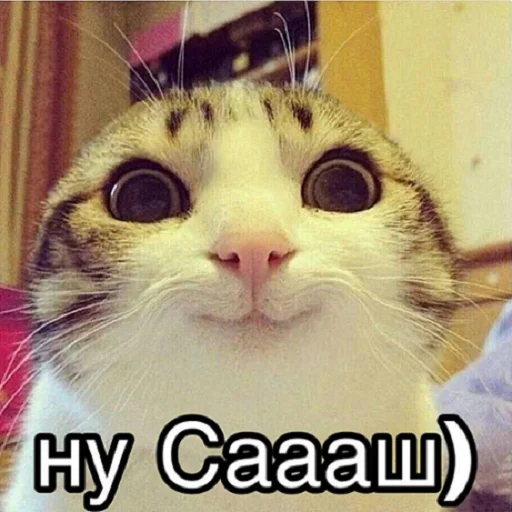 Стикер отkolovratченный - 10