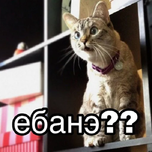 Стикер отkolovratченный - 9