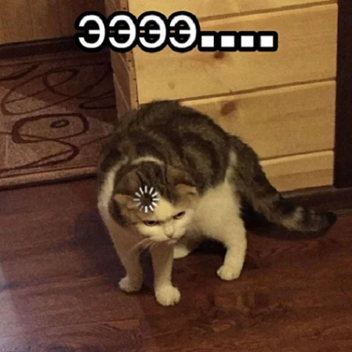 Стикер отkolovratченный - 6