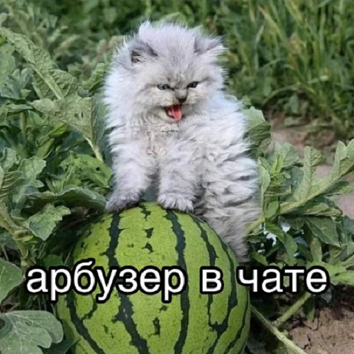 Стикер отkolovratченный - 4