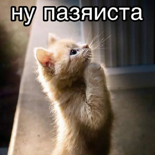 Стикер отkolovratченный - 1