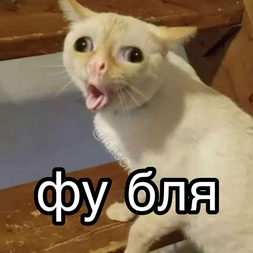 Стикер отkolovratченный - 0