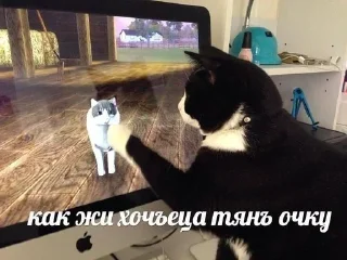 Стикер @stikerk877 - 5