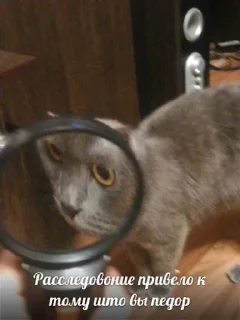 Стикер @stikerk877 - 6