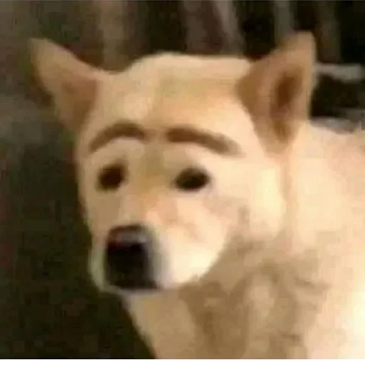 Sticker waterton's BWC (@CalsiBot) - 1