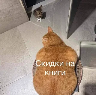 Sticker Книжные мемы @knigiimem - 5