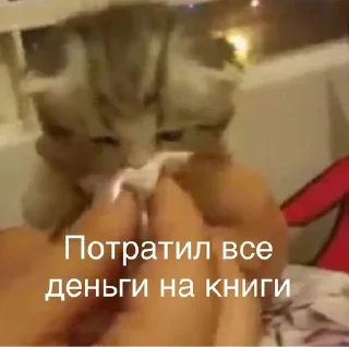 Sticker Книжные мемы @knigiimem - 4