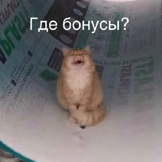 Sticker Книжные мемы @knigiimem - 8