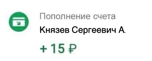 похуистическая партия княzz - 