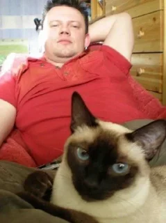 Sticker похуистическая партия княzz - 5