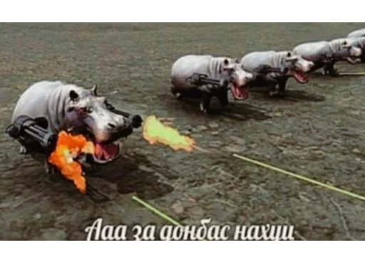 ground outdoor grass