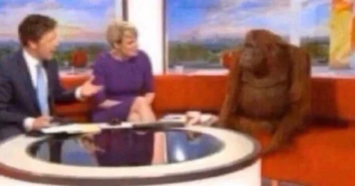 Человек костюм одежда