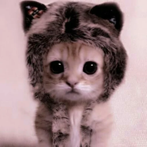 животное мех млекопитающее