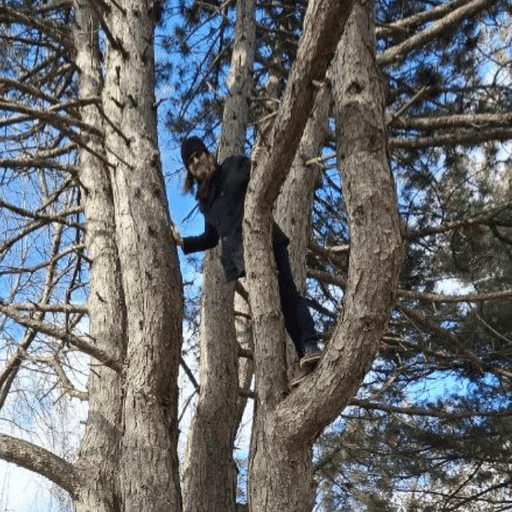 Стикер kochina_pack - 1