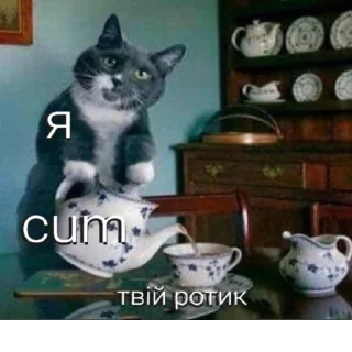 Стикер лю @blyadtoivo - 7