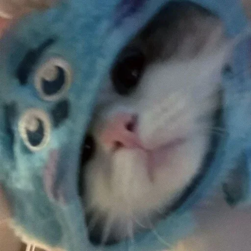 Стикер kokhasyaa - 1